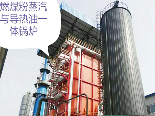 山東魯怡制衣有限公司25噸一體爐