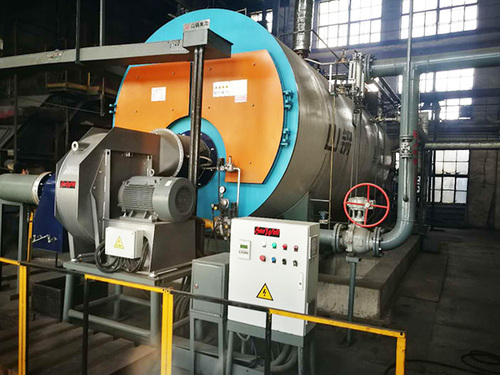 廣東歡樂(lè)家食品有限公司10噸燃?xì)忮仩t(圖1)